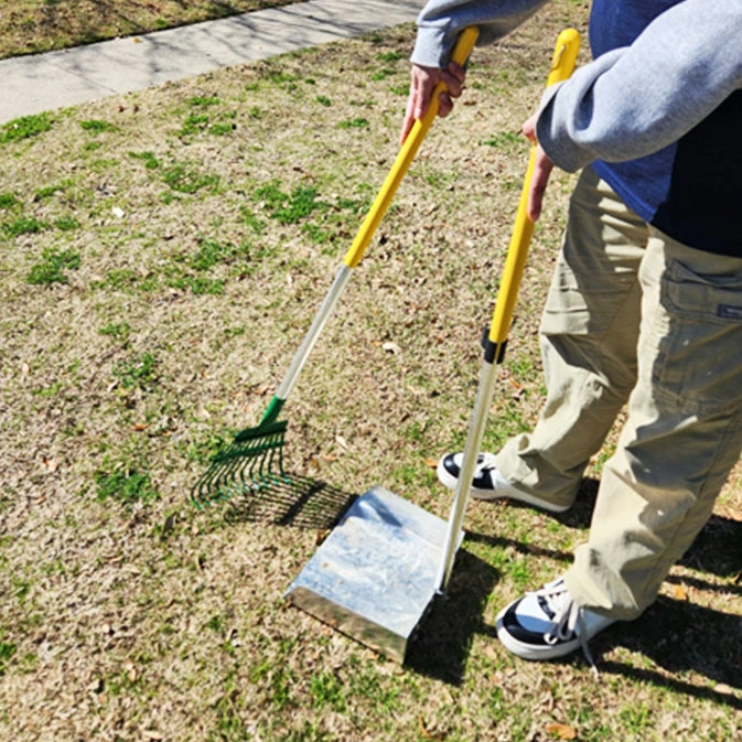 Yard Cleaning Service